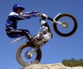 2008 Scorpa SY-250R photo